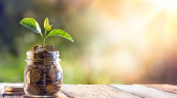 Image of a plant growing from money in a jar