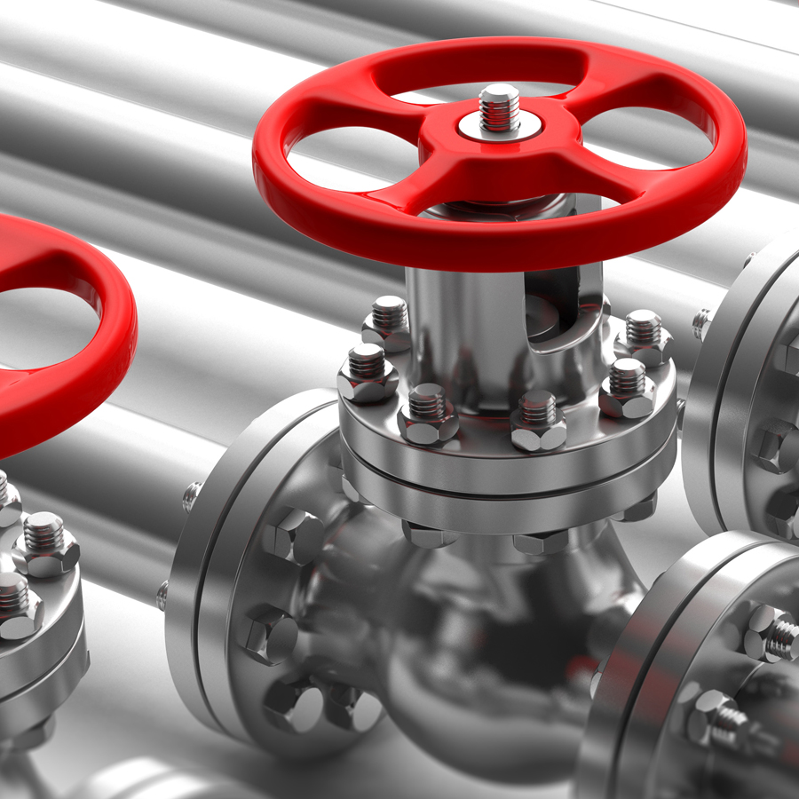 ss valve